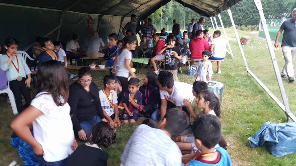 Bild 15